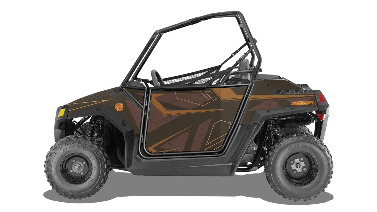 Rogue - RZR 170 Youth [2010-2021]