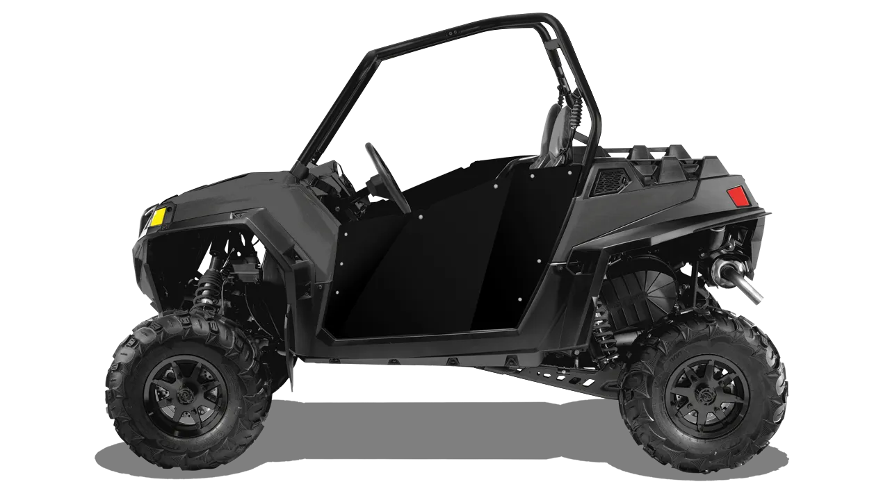 RZR 2-Door [2008-2020]